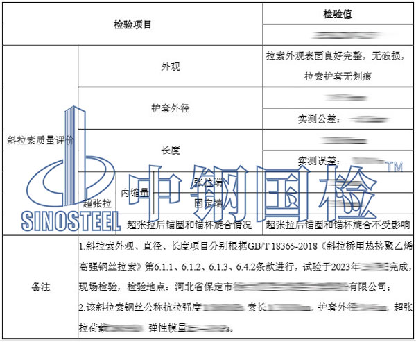 斜拉索檢測項目結果