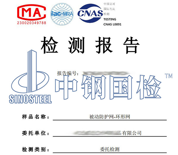 防護(hù)網(wǎng)檢測報告